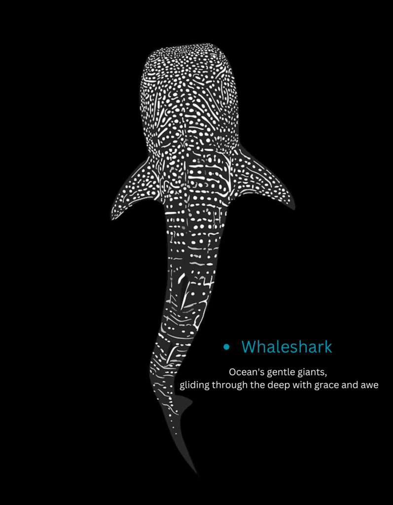 scuba-diving-scuba-malaysia-whaleshark