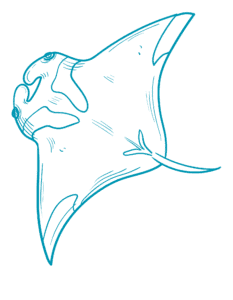 about scuba malaysia