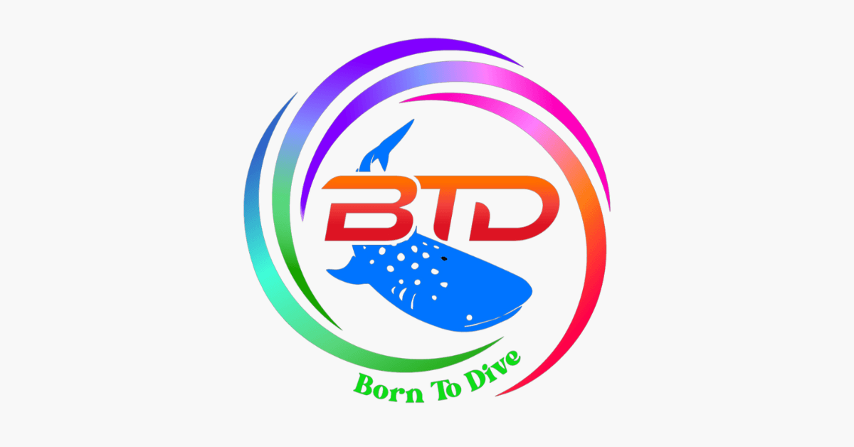 scuba malaysia born to dive centre