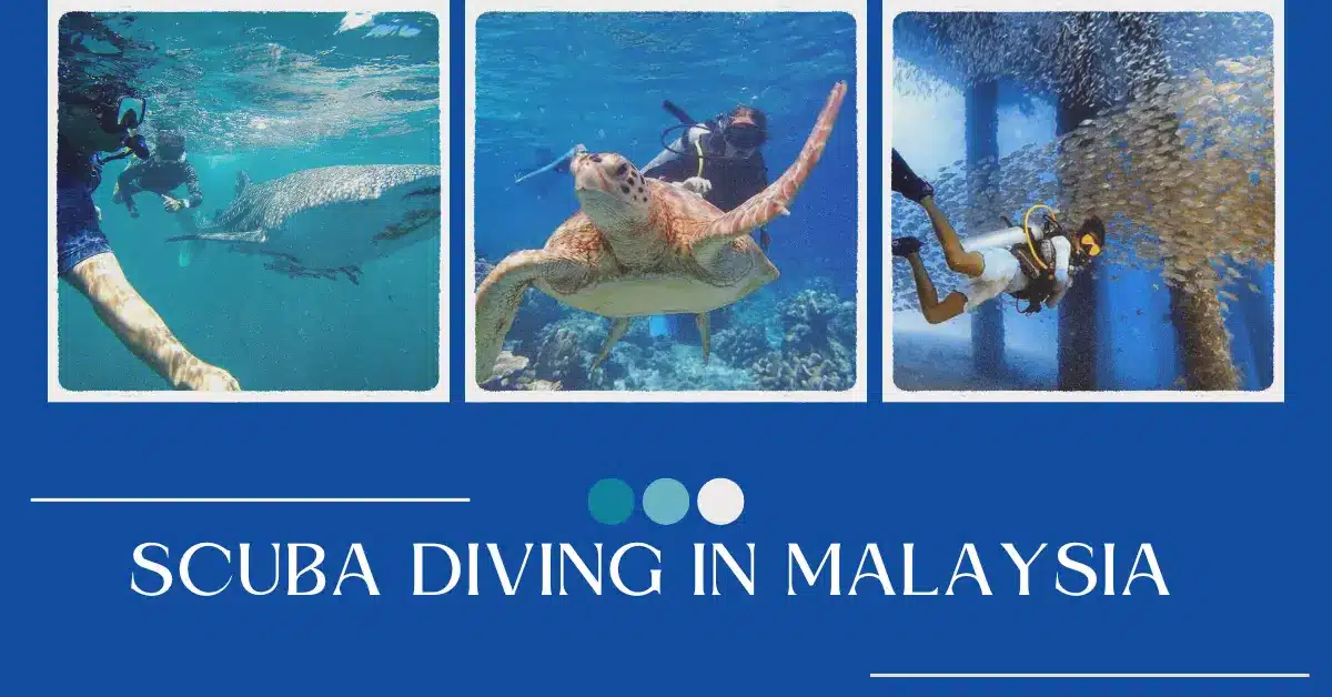 scuba malaysia scuba diving in malaysia