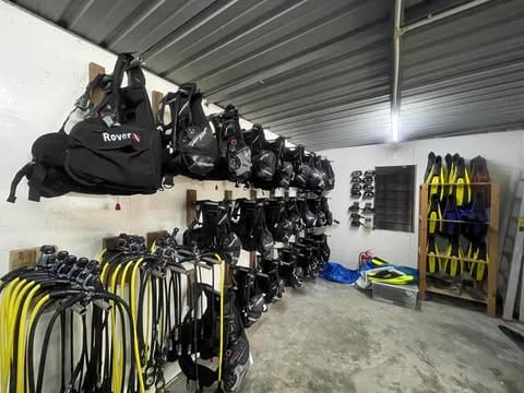 Gear room with BCDs and regulators