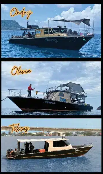 Ocean9 two-deck boat