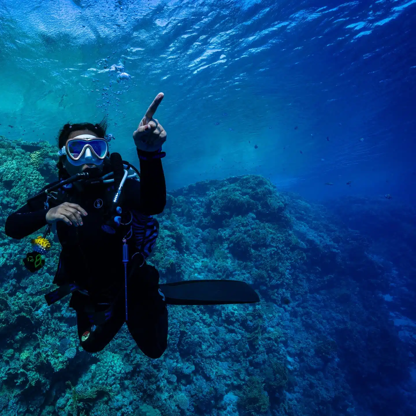 Selamberr Dive highlights